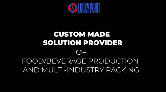 Full Custom Made Packing Solution Packing Line Sample Full Automatic Multi