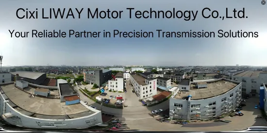 Liway Right Angle Gear Motor 