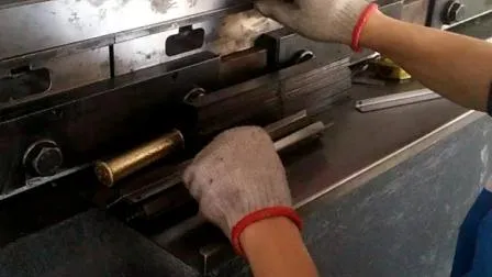 Media and Advertising 55 Inch Wind